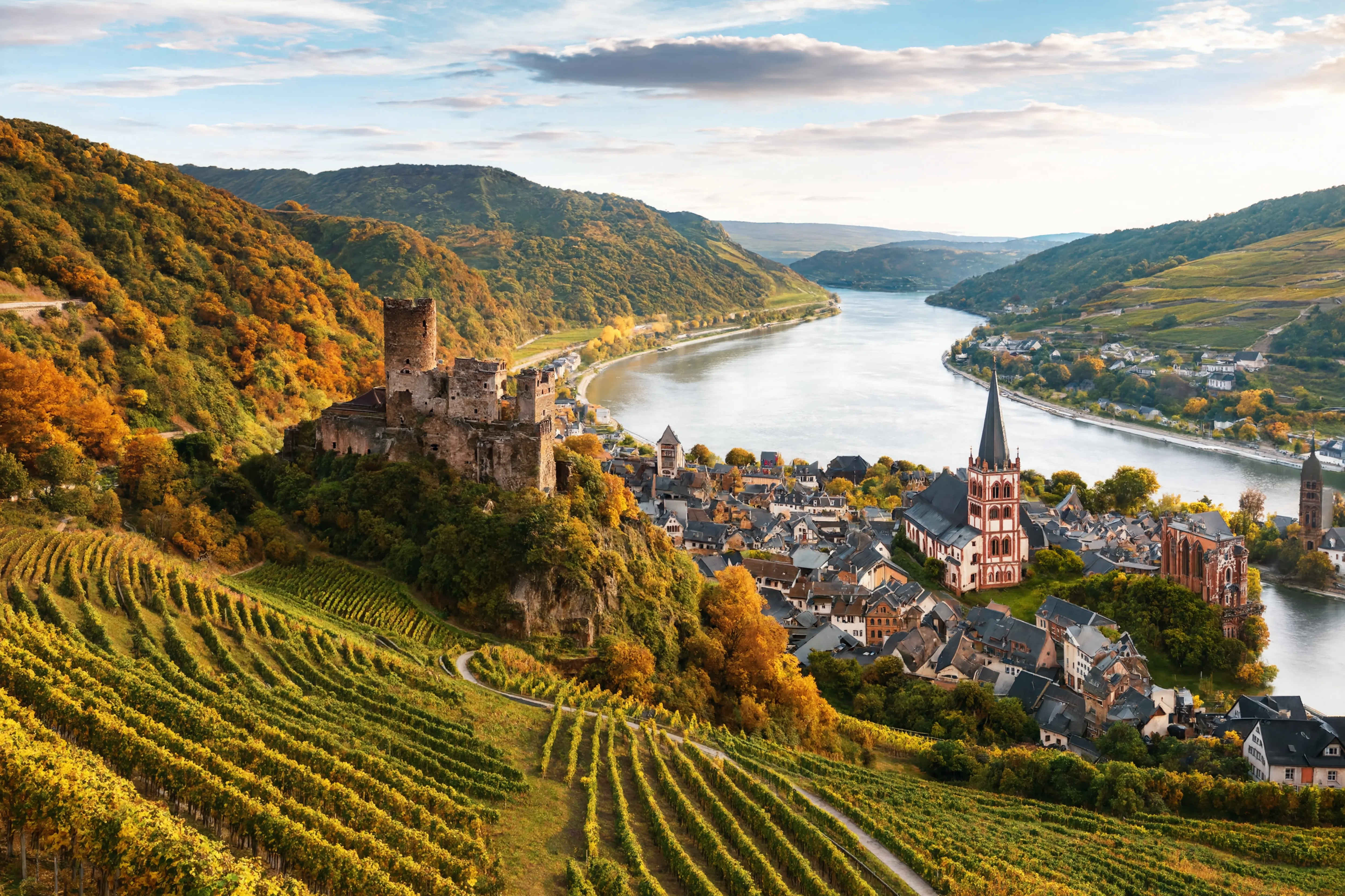 Rheintal mit Weinbergen und Burgruinen — das Herz der deutschen Romantik